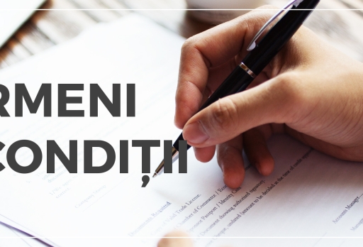 Termeni si conditii